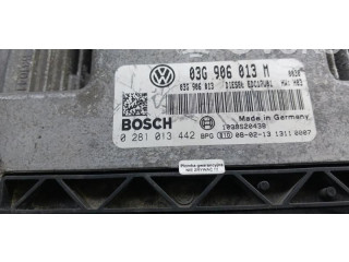 Řídící jednotka 0281013442, 03G906013M   Skoda Fabia Mk2 (5J) 2007
