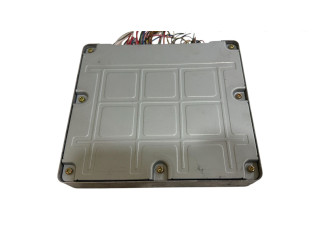 Řídící jednotka 8966142670, 2110007660   Toyota RAV 4 (XA20) 2003