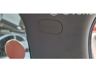 Боковая подушка безопасности    Fiat 500L