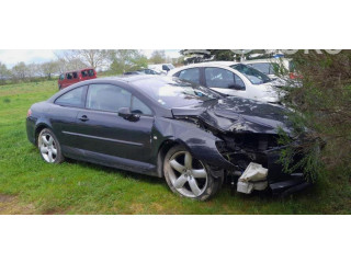 Звукоусилитель 9653556180, 9653556180    Peugeot 407  -  года