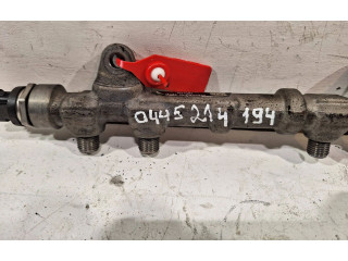 Топливная рампа 0445214194   Fiat Punto Evo  