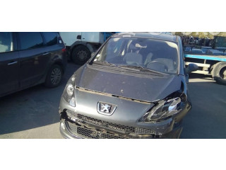 Zpětné zrcátko  Peugeot 1007 2009  8153WP  