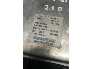 Řídící jednotka A6519007500   Mercedes-Benz CLS C218 X218 2013