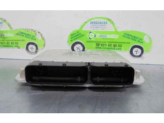 Řídící jednotka 066906032J, 0261207048   Volkswagen Passat Alltrack 2001