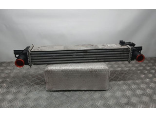 Интеркулер  52003730, FF824001   Fiat Fiorino 