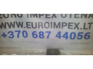 Блок управления двигателя 04745860, P046681QAQ   Chrysler 300M