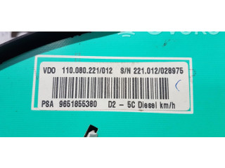 Přístrojová deska  Peugeot 207 CC  9651855380  