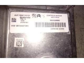 Řídící jednotka 9829598880   Peugeot 2008 I 2019