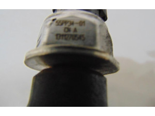 Vstřikovací lišta 9685297580   Citroen C3     