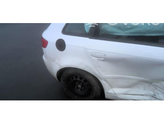 Pojistková skříňka Řídící jednotka BSM 1K0937125D   Audi A3 S3 A3 Sportback 8P 2011