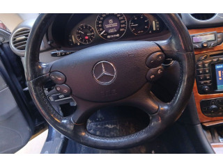 Pojistková skříňka Руль 101086a3   Mercedes-Benz CLK A209 C209 2004
