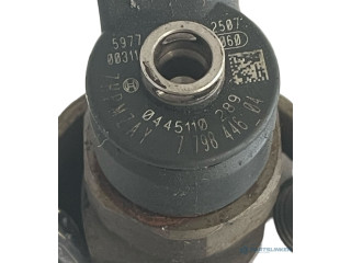 Vstřikovací lišta 0445010524, 0445110289   BMW X1 E84     