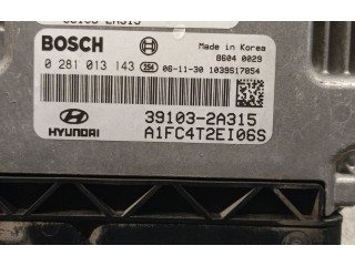 Řídící jednotka 391032A315, 0281013143BOSCH   Hyundai Matrix 2007