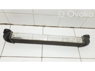 Интеркулер  A1695000000   Mercedes-Benz A W169 2.0