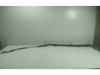 Подушка безопасности двери A2198600005, 6023718007   Mercedes-Benz CLS AMG C219