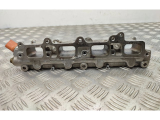 Топливная рампа 3328342, 0261545051   Volkswagen Tiguan   для двигателя Cav