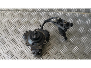 Vstřikovací čerpadlo 0445010038   Hyundai Santa Fe  pro naftový motor 2.0  