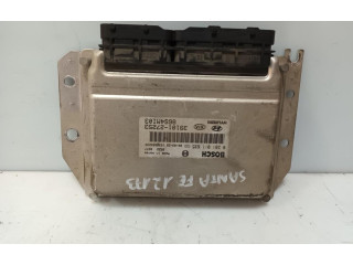 Řídící jednotka 3910127253   Hyundai Santa Fe 2004
