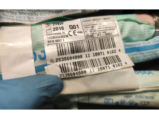 Боковая подушка безопасности 2538604800, 34196057E   Mercedes-Benz GLC X253 C253