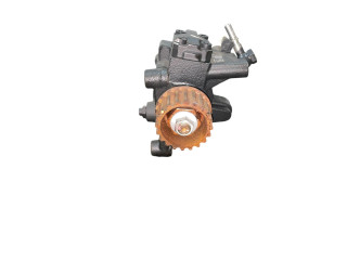 Vstřikovací čerpadlo 167003669R, 5WS40844   Renault Megane IV     