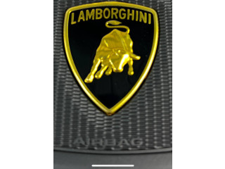 Подушка безопасности водителя 4ML880201C, 4ML880201C6PS   Lamborghini Urus