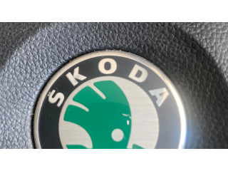 Подушка безопасности водителя 1Z0880201AE   Skoda Octavia Mk2 (1Z)