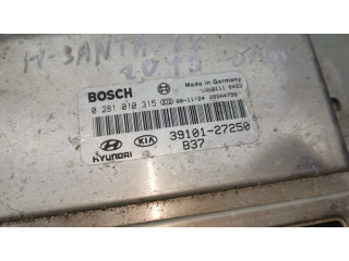 Řídící jednotka 0281010315, 3910127250   Hyundai Santa Fe 2005