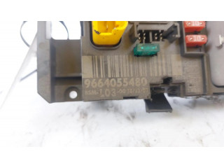 Блок предохранителей 9664055480   Citroen C3    