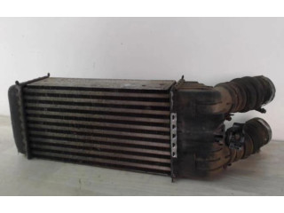 Vstřikovač 00000384N1, 00000384N1   Citroen C3 Picasso    DV6ATED4(9HX) 