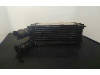 Vstřikovač 9656503980   Citroen C4 I     