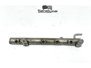 Vstřikovací lišta A6420702595, 1134903   Mercedes-Benz R W251    642872 
