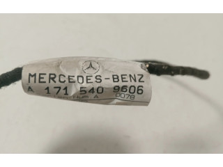 Блок управления A1715409606, A1715409606   Mercedes-Benz SLK R171