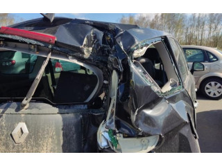 Zpětné zrcátko  Renault Scenic III -  Grand scenic III 2009  963024894R  