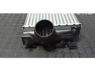 Интеркулер  144614ED1A, M166253A   Renault Kadjar 