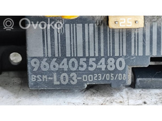 Модуль управления BSM 9664055480   Citroen C3    