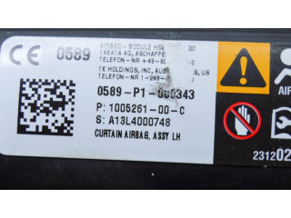 Боковая подушка безопасности 100526100C   Tesla Model S