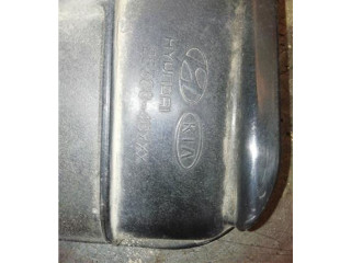 Čerpadlo oleje 253804DXXX, 253804DXXX   KIA Carnival   J3