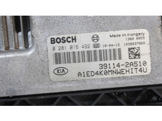 Řídící jednotka 0281016492   KIA Ceed 2010