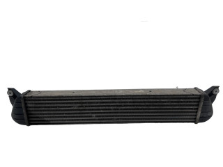 Интеркулер  1362079J51, 3126166   Suzuki SX4 1.9