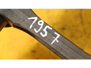 Píst    Peugeot 307     