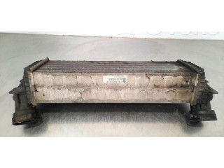 Интеркулер  1751780932101, 17517809321   BMW X5 E70 