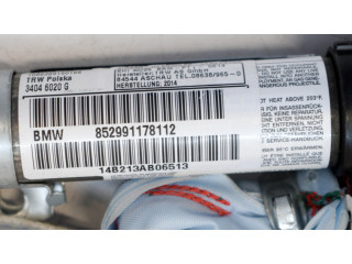 Боковая подушка безопасности    BMW X1 E84