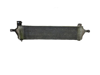Интеркулер  14461JD50A, G3062003   Nissan Qashqai 