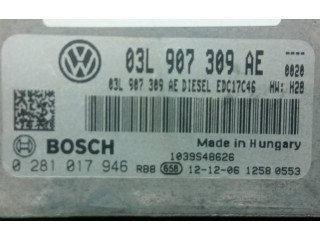 Блок управления двигателем Блок управления 0281017946   Volkswagen Tiguan
