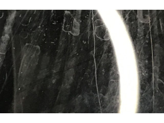 Zpětné zrcátko  BMW X1 E84 2015  7307226  
