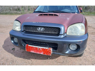 Řídící jednotka    Hyundai Santa Fe 2002
