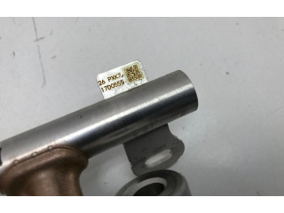 Комплект форсунок PXK913250, 17D0555    Mazda CX-60   