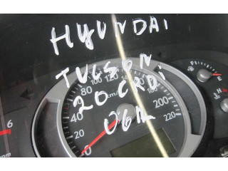 Přístrojová deska  Hyundai Tucson JM 2007 940132E421  