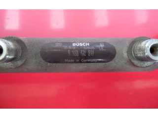 Топливная рампа 0445214024, 0281002405   Renault Laguna I  
