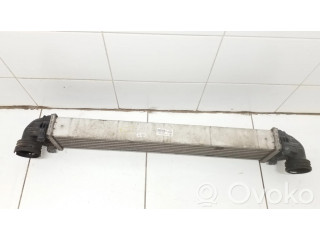 Интеркулер  A1695000000   Mercedes-Benz A W169 2.0